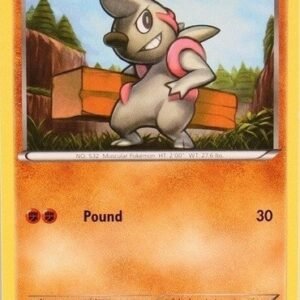 Trainer Kit: Excadrill Deck 29/30 Timburr