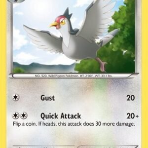 Trainer Kit: Zoroark Deck 15/30 Tranquill