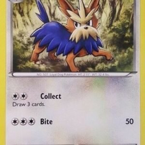 Trainer Kit: Excadrill Deck 19/30 Herdier
