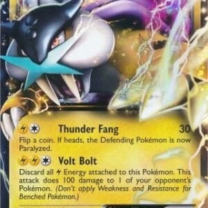 Dark Explorers 38/108 Raikou EX (Half Art)
