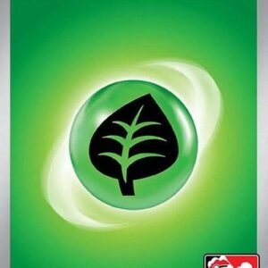 Scarlet & Violet SVE EN01 Basic Grass Energy (Prize Pack League Promo Non-Holo)