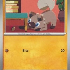 SV Obsidian Flames 116/197 Rockruff