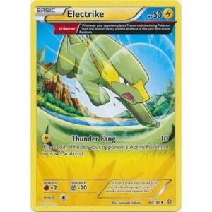 XY Primal Clash 60/160 Electrike