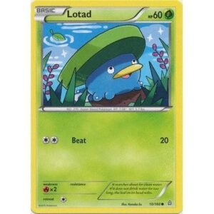 XY Primal Clash 10/160 Lotad