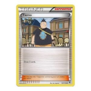 XY Phantom Forces 107/119 Tierno