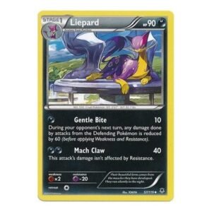 XY Phantom Forces 57/119 Liepard