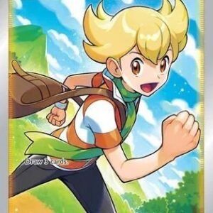 Brilliant Stars 167/172 Barry (Full Art)