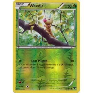 XY Base Set 3/146 Weedle (Reverse Holo)