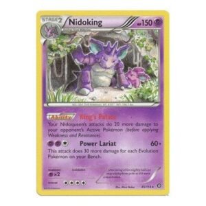 XY Steam Siege 45/114 Nidoking